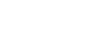 Scanlon Institute